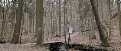 Wąwóz Myśliborski, wsch.