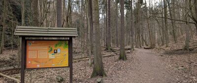 Rozejście szlaków ↔ Wąwóz Myśliborski, wsch.