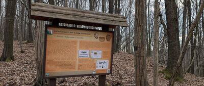 Rozejście szlaków ↔ Rozejście szlaków