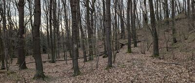 Rozejście szlaków ↔ Rozejście szlaków