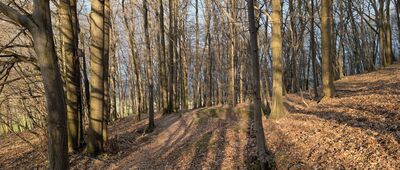 Rozejście szlaków ↔ Pod Ratajem