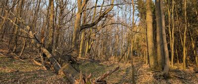 Centrum Edukacji Ekologicznej i Krajoznawstwa Salamandra ↔ Rozejście szlaków