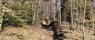 Przyszop ↔ Tresna Mała