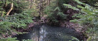 Przyszop ↔ Czernichów