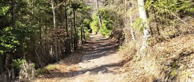 Pod Rogaczem ↔ Czernichów, ul. Roztoki