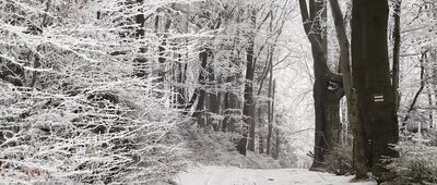 Międzybrodzie Bialskie ↔ Pod Rogaczem