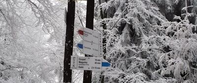 Przełęcz pod Czuplem