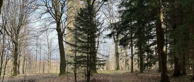 Pobiedna, skrzyżowanie ↔ Ulicko