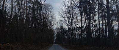 Sitowiec ↔ Stanisławice, PKP [Zielony szlak w kierunku Kobylej Głowy]