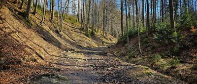 Droga do Barańskiego Mostu ↔ Rozejście szlaków