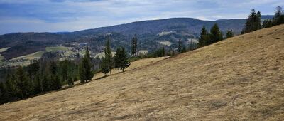 Cieńków ↔ Gawlas