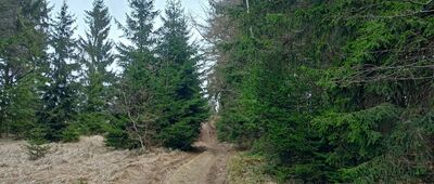 Pod Słodną ↔ Rozejście szlaków niebieski / zielony