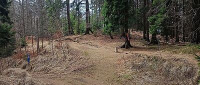 Przełęcz pod Szpiczakiem ↔ Ruprechtický Špičák