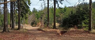 Przełęcz pod Szpiczakiem