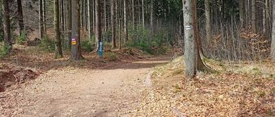 Przełęcz pod Szpiczakiem