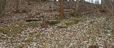 Łomnica, Trzy Strugi