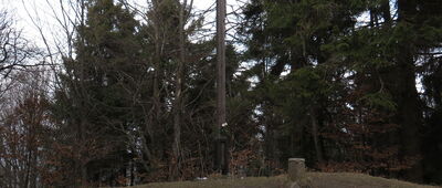 Śnieżnica [Śnieżnica]