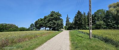 Zajączkowo-Huby ↔ Nojewo