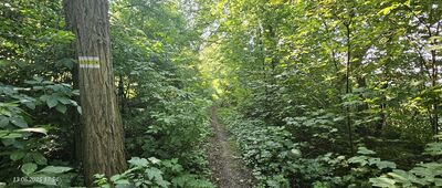 Śródka ↔ Jezioro Wielkie