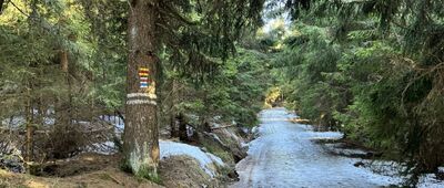 U Anenského vrchu ↔ Turistické rozcestí Anenský vrch