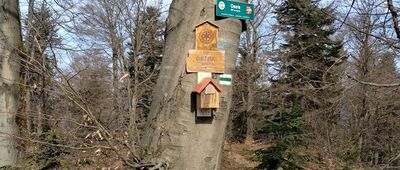 Początek ścieżki przyrodniczej W przełomie Jasiołki ↔ Czerwony Horb