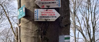 Początek ścieżki przyrodniczej W przełomie Jasiołki ↔ Czerwony Horb