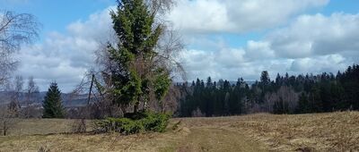 Rozdroże pod Słoneczną