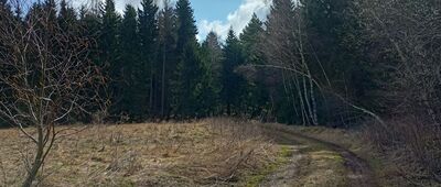 Rozdroże pod Słoneczną