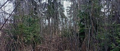 Łąka Strzelecka ↔ Pod Ptasim Szczytem