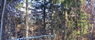 Włodzicka Góra ↔ Pisztyk