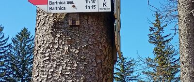 Rozdroże pod Włodzicką Górą