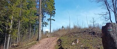 Rozdroże pod Włodzicką Górą