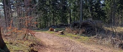 Rozdroże pod Włodzicką Górą