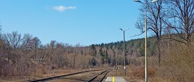 Bartnica, stacja kolejowa