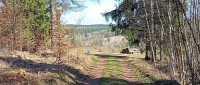 Bartnica ↔ Czarnoch