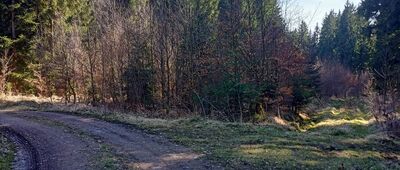 Bartnica ↔ Czarnoch