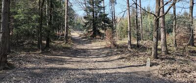 Droga przy Przełęczy Słupickiej