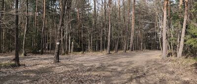 Przełęcz Słupicka, rozejście szlaków