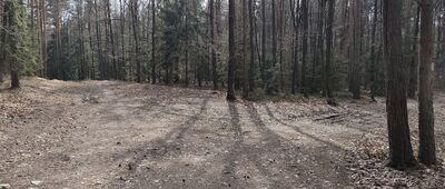 Przełęcz Słupicka, rozejście szlaków