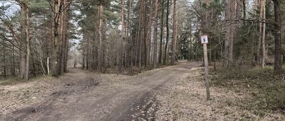 Przełęcz Słupicka, rozejście szlaków ↔ Sulistrowiczki