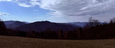 Porąbka ↔ Przełęcz Bukowska, odejście szlaku niebieskiego