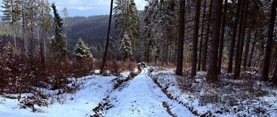 Dudová ↔ Oravské Veselé