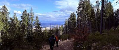 Skalisko ↔ Dudová