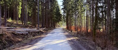 Łączyna ↔ Rozejście szlaków