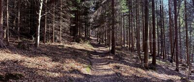 Rozejście szlaków ↔ Rozejście ścieżki