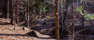 Rozejście szlaków ↔ Rozejście ścieżki