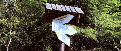 Rozejście ścieżki