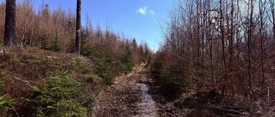 Rozejście ścieżki ↔ Przełęcz pod Małą Gańczorką