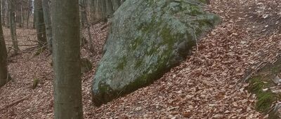 Pomnikowy głaz w Lesie Ostrzyckim [Głaz-pomnik przyrody]