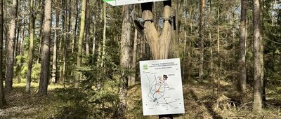 Przełęcz Słupicka